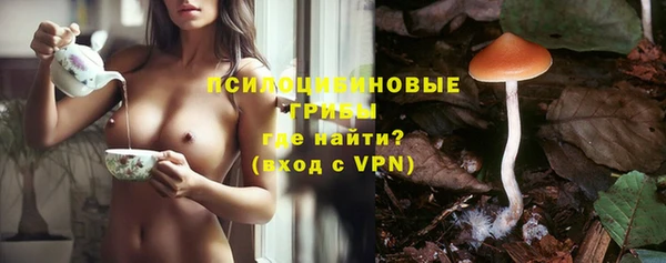 apvp Магадан