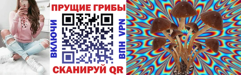 ссылка на мегу ссылки  Шумерля  нарко площадка как зайти  Псилоцибиновые грибы GOLDEN TEACHER 